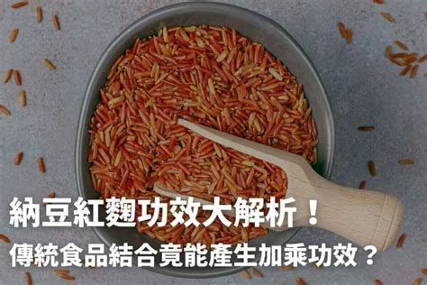 納是什麼|納